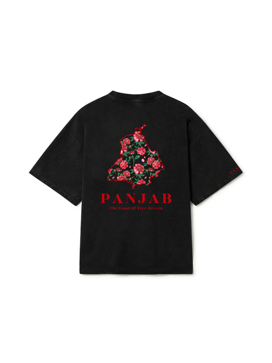 Panjab Pride T-Shirt